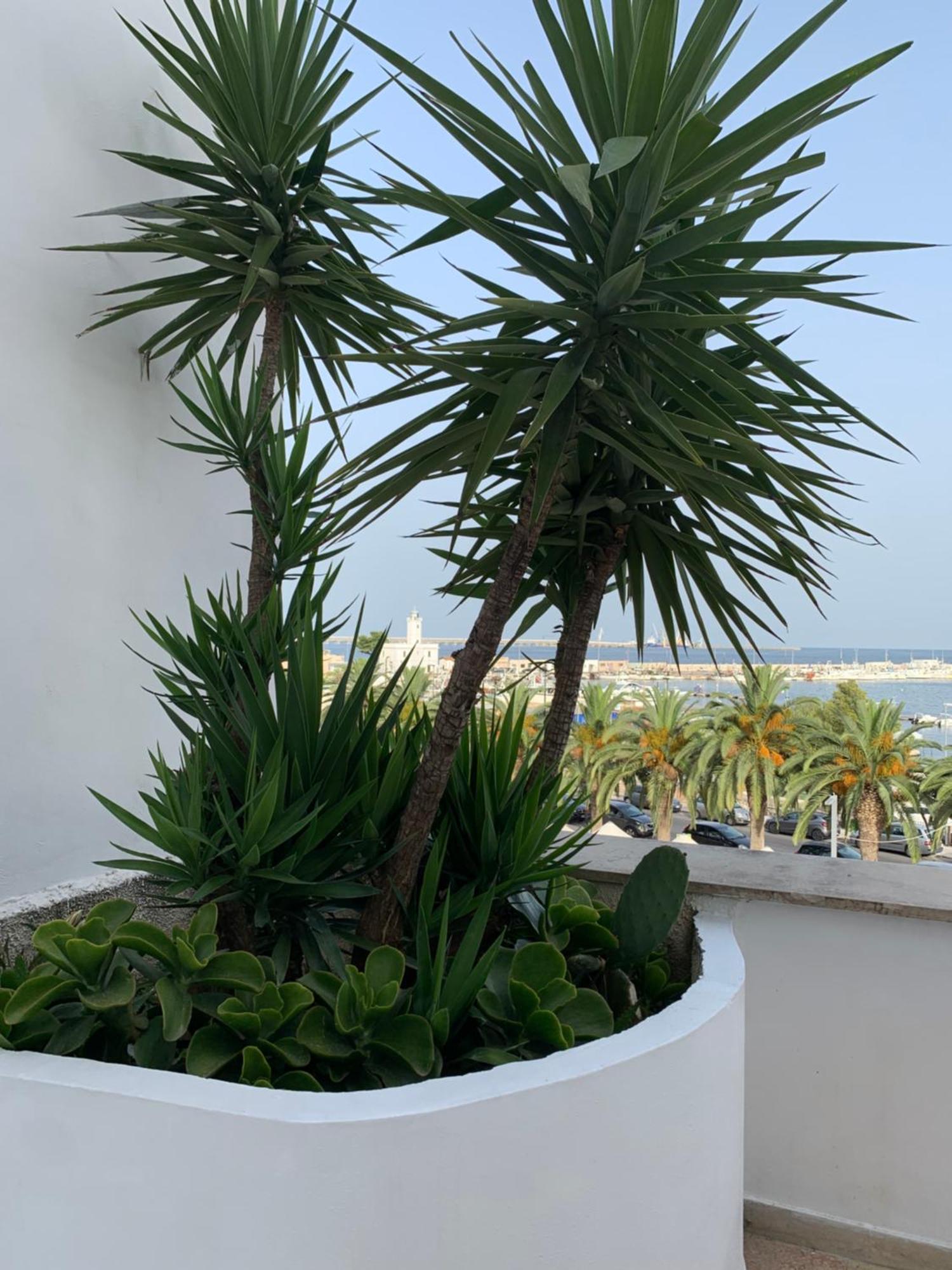 Terrazza Diomede- Manfredi Homes & Villas Manfredonia Εξωτερικό φωτογραφία